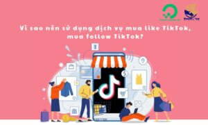 dich-vu-mua-like-tiktok-mua-follow-tiktok