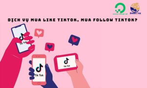 Dịch vụ mua Like TikTok, mua Follow TikTok Uy tín nhất