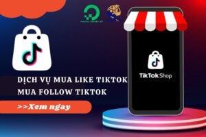 Dịch Vụ Mua Like Tiktok, Mua Follow Tiktok Uy Tín Nhất 2024