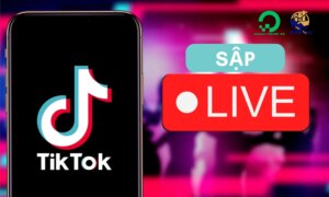 Sập Live TikTok